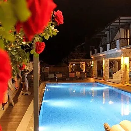 Fizzio 5*